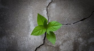 Resilience in a Time of Uncertainty
